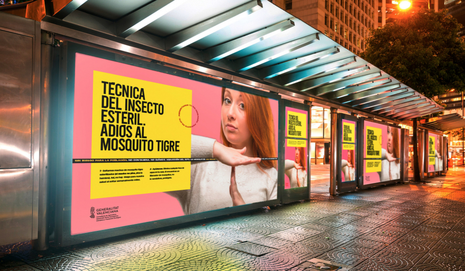 Campaña "Adiós Mosquito Tigre" calle copia