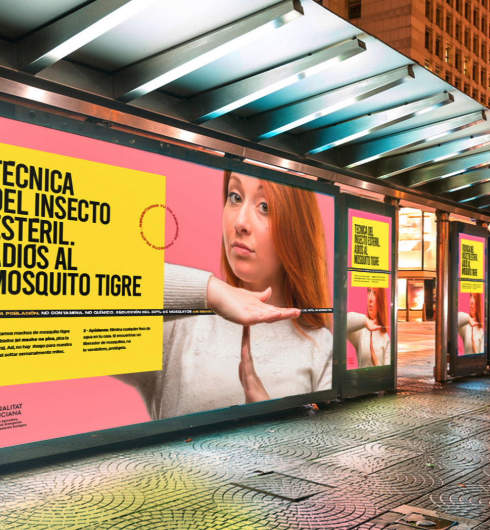 Campaña "Adiós Mosquito Tigre" calle copia